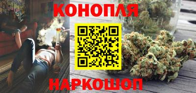 дмт Будённовск
