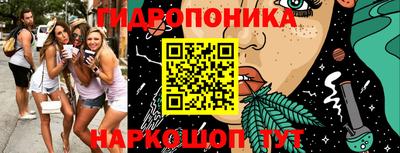 дмт Будённовск