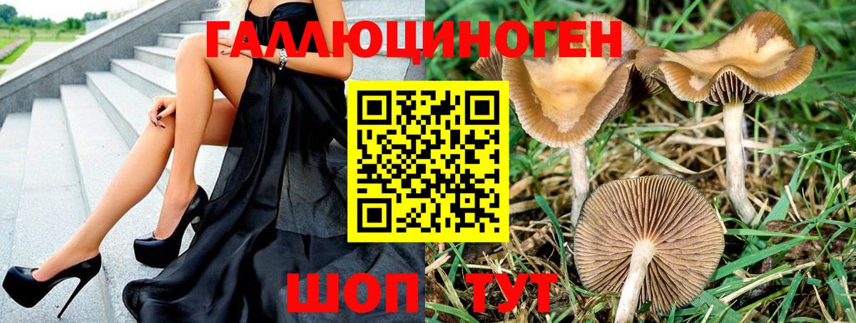 Чусовой  Галлюциногенные грибы Psilocybe  Вход с VPN 